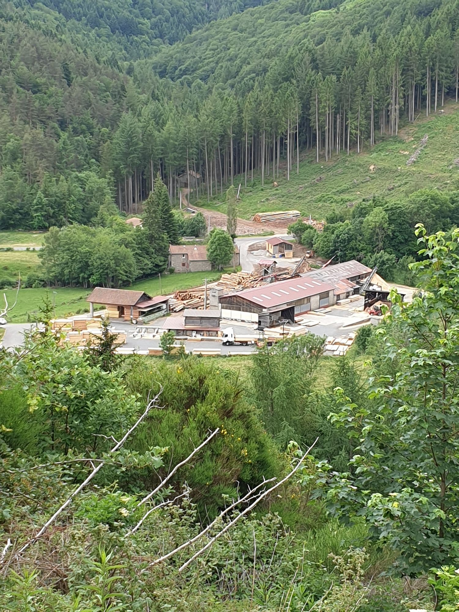La scierie Bois du Haut Forez vue des forêts, dans la vallée de Chalmazel